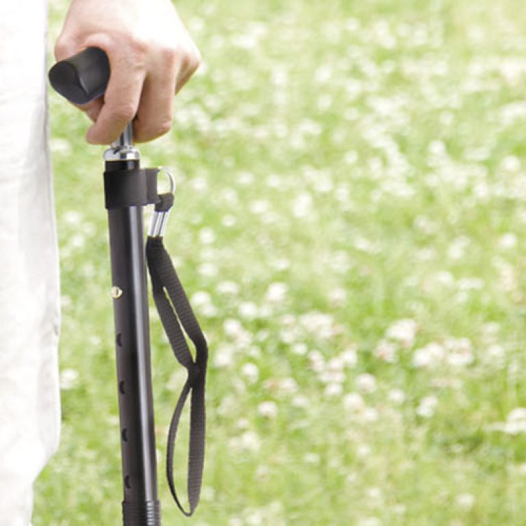 Best Walking Sticks for Seniors